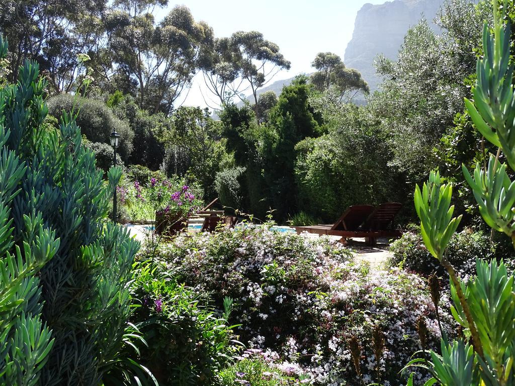Intaba Lodge Hout Bay Eksteriør bilde