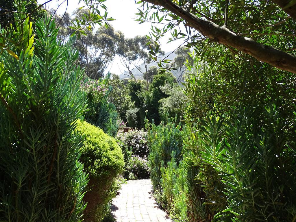 Intaba Lodge Hout Bay Eksteriør bilde
