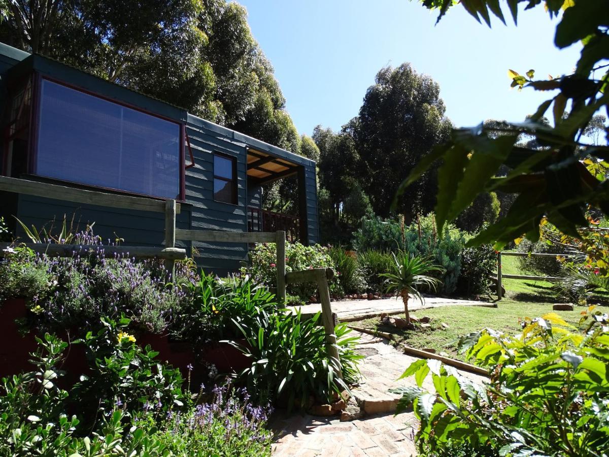 Intaba Lodge Hout Bay Rom bilde